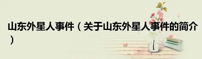 山东外星人事件（关于山东外星人事件的简介）