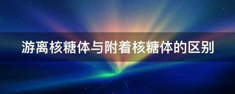 游离核糖体与附着核糖体的区别