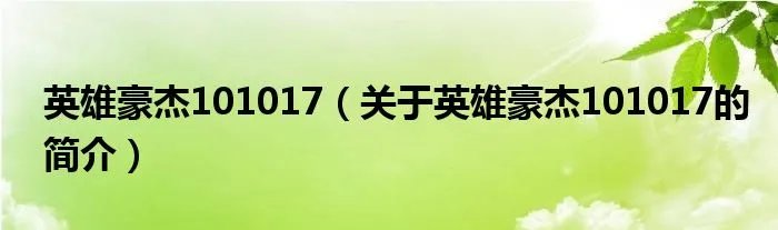 英雄豪杰101017（关于英雄豪杰101017的简介）