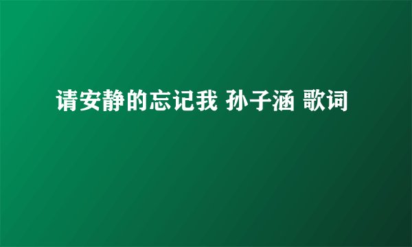 请安静的忘记我 孙子涵 歌词