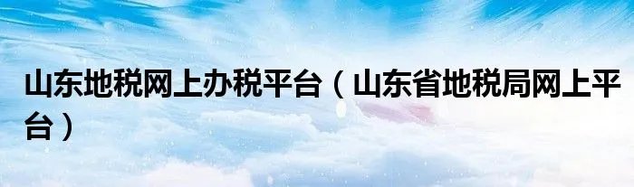 山东地税网上办税平台(山东省地税局网上平台)