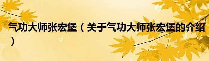 气功大师张宏堡（关于气功大师张宏堡的介绍）