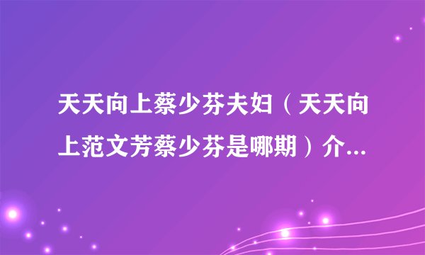 天天向上蔡少芬夫妇（天天向上范文芳蔡少芬是哪期）介绍_飞外网