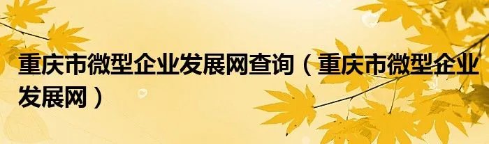 重庆市微型企业发展网查询（重庆市微型企业发展网）
