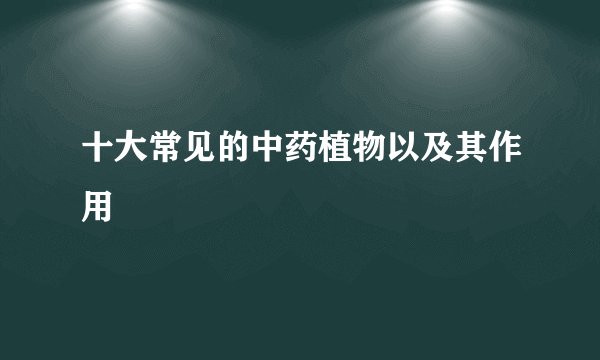 十大常见的中药植物以及其作用