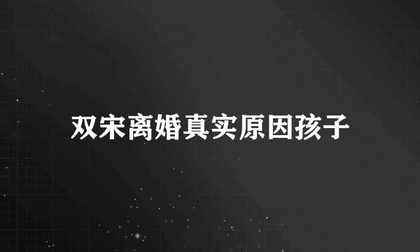 双宋离婚真实原因孩子
