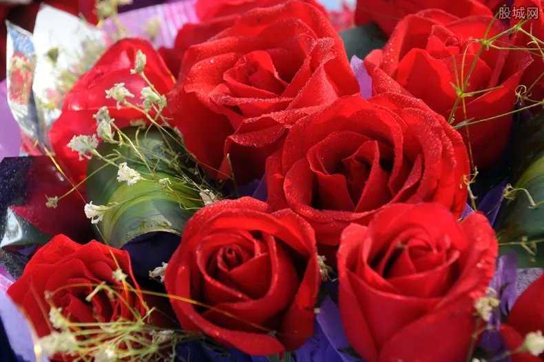 情人节玫瑰花多少钱一朵 2019玫瑰花价格最新预测