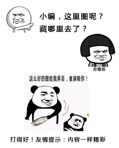 杜若溪亲热戏“被抓包” 杜若溪严宽的结婚照大全