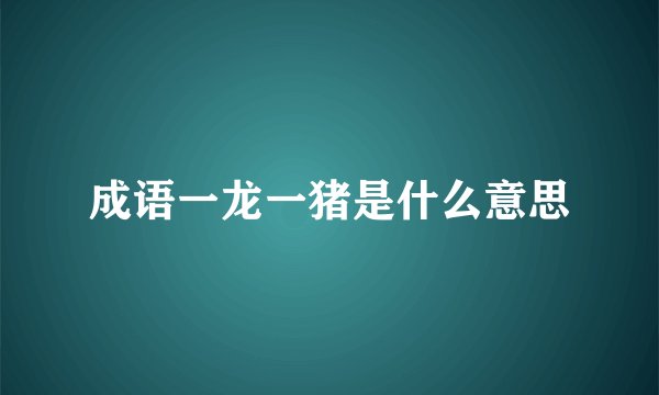 成语一龙一猪是什么意思