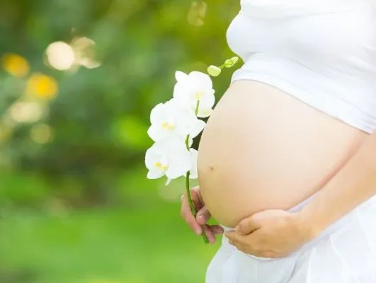 孕妇晚餐食谱吃什么好