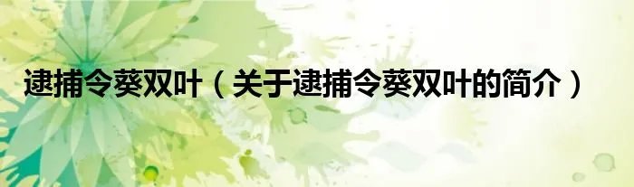 逮捕令葵双叶（关于逮捕令葵双叶的简介）
