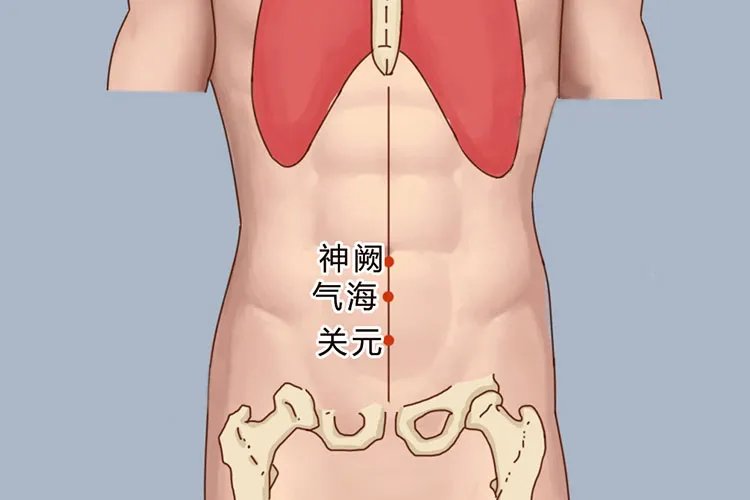 艾灸的部位图片