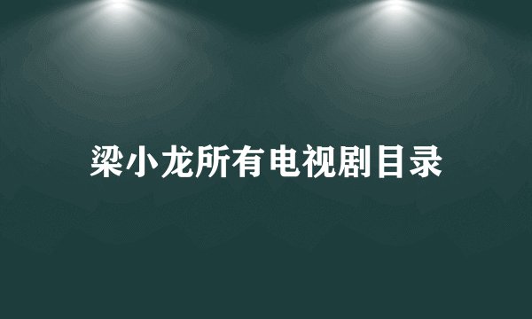 梁小龙所有电视剧目录