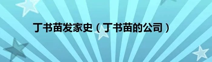 丁书苗发家史（丁书苗的公司）