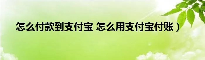 怎么付款到支付宝 怎么用支付宝付账）