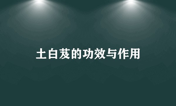 土白芨的功效与作用