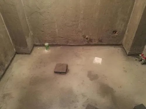 基膜是什么