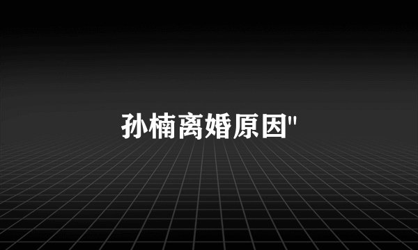 孙楠离婚原因
