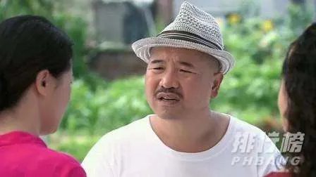 农村电视剧大全集-农村电视剧排行榜前十名