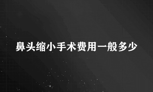 鼻头缩小手术费用一般多少