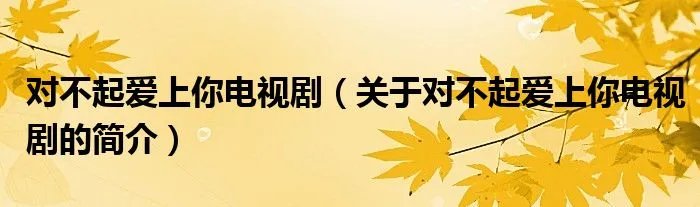对不起爱上你电视剧（关于对不起爱上你电视剧的简介）
