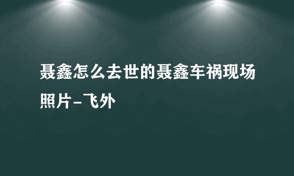 聂鑫怎么去世的聂鑫车祸现场照片-飞外