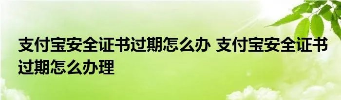 支付宝安全证书过期怎么办 支付宝安全证书过期怎么办理