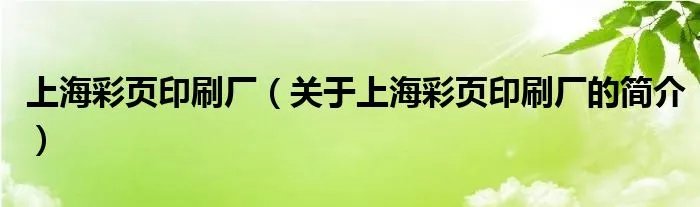 上海彩页印刷厂（关于上海彩页印刷厂的简介）