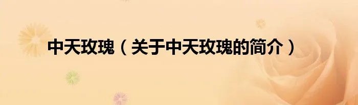 中天玫瑰（关于中天玫瑰的简介）