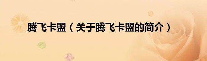 腾飞卡盟（关于腾飞卡盟的简介）