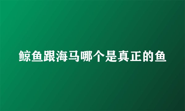 鲸鱼跟海马哪个是真正的鱼