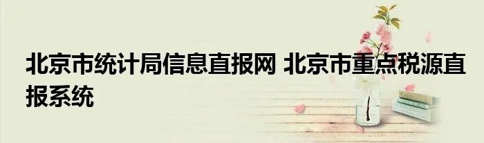 北京市统计局信息直报网 北京市重点税源直报系统