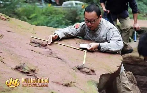 四川巨型恐龙足迹：直径约60cm 厚度达20cm