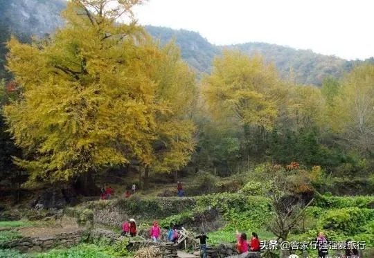 水没坪村