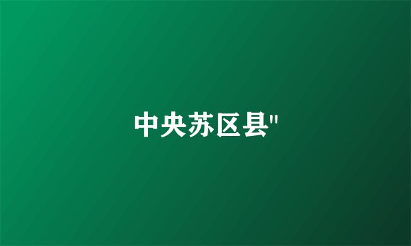 中央苏区县