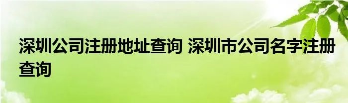 深圳公司注册地址查询 深圳市公司名字注册查询