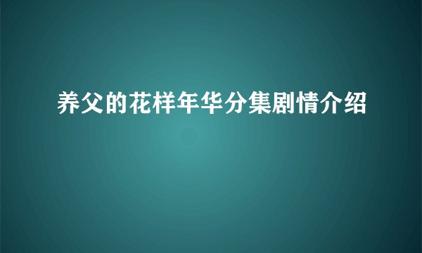 养父的花样年华分集剧情介绍