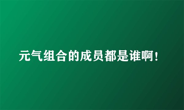 元气组合的成员都是谁啊！