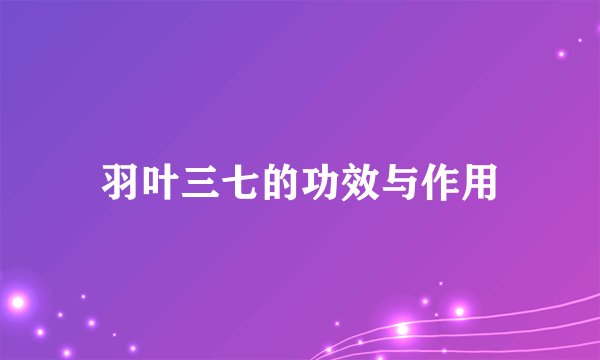 羽叶三七的功效与作用