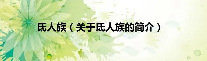 氐人族（关于氐人族的简介）