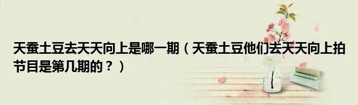 天蚕土豆去天天向上是哪一期（天蚕土豆他们去天天向上拍节目是第几期的？）