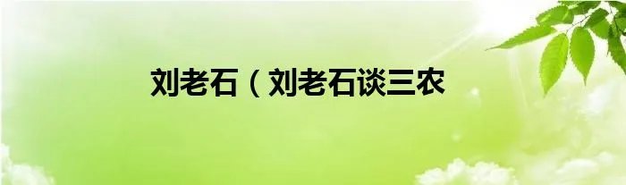 刘老石（刘老石谈三农