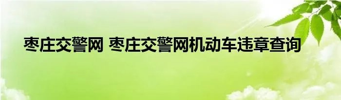 枣庄交警网 枣庄交警网机动车违章查询