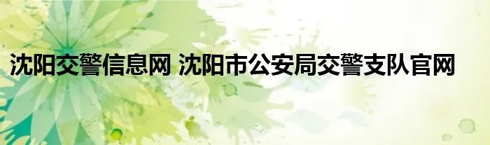 沈阳交警信息网 沈阳市公安局交警支队官网