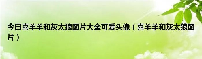 今日喜羊羊和灰太狼图片大全可爱头像（喜羊羊和灰太狼图片）