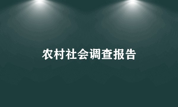农村社会调查报告