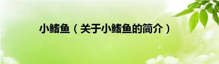 小鳍鱼(关于小鳍鱼的简介)
