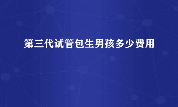 第三代试管包生男孩多少费用