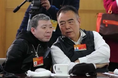 冯小刚脸