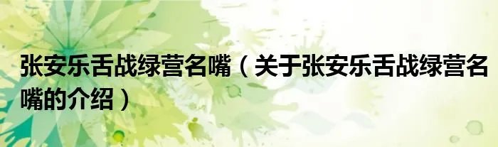 张安乐舌战绿营名嘴（关于张安乐舌战绿营名嘴的介绍）